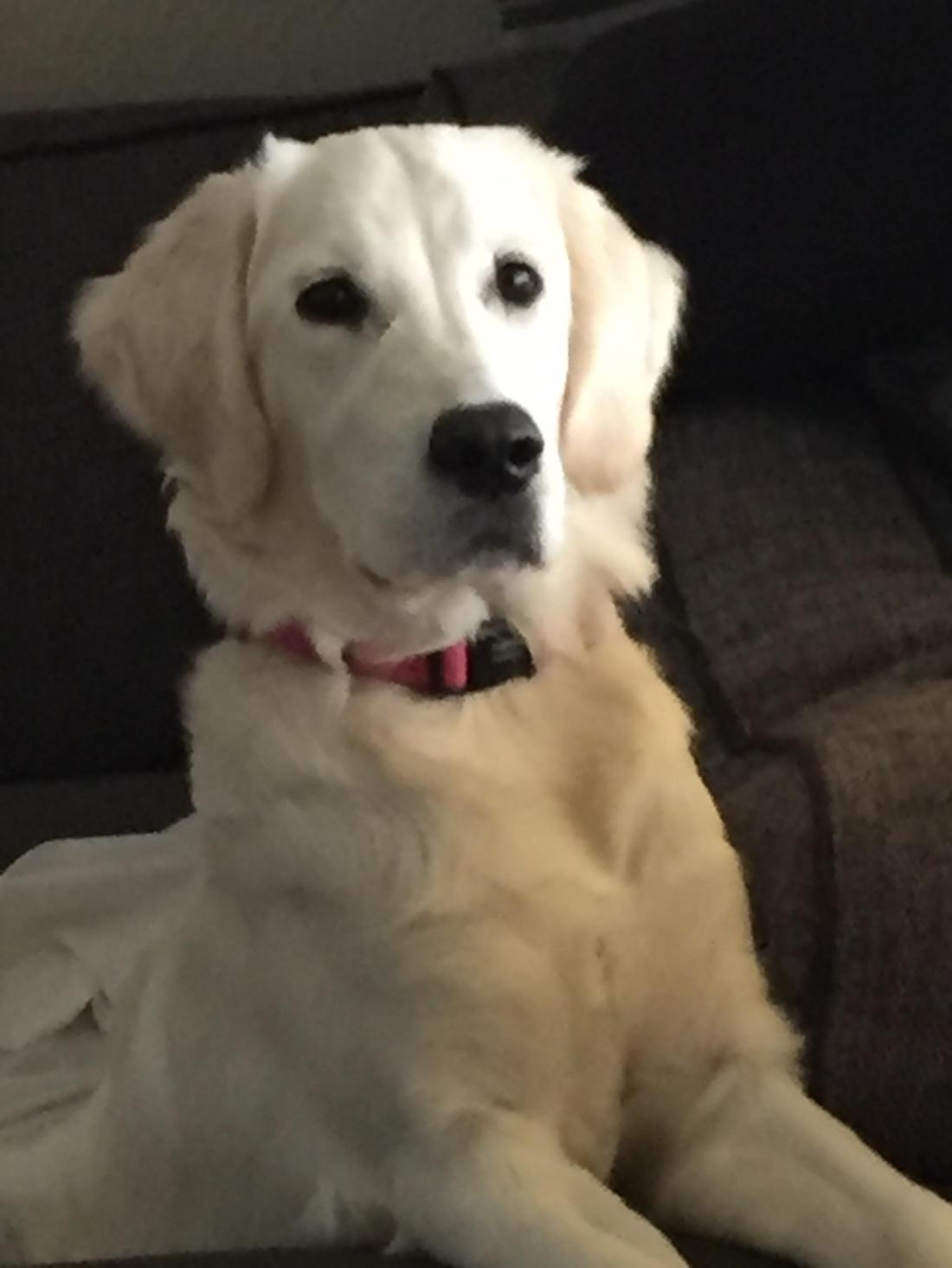 45878990_542036319553008_7116287843378397184_n