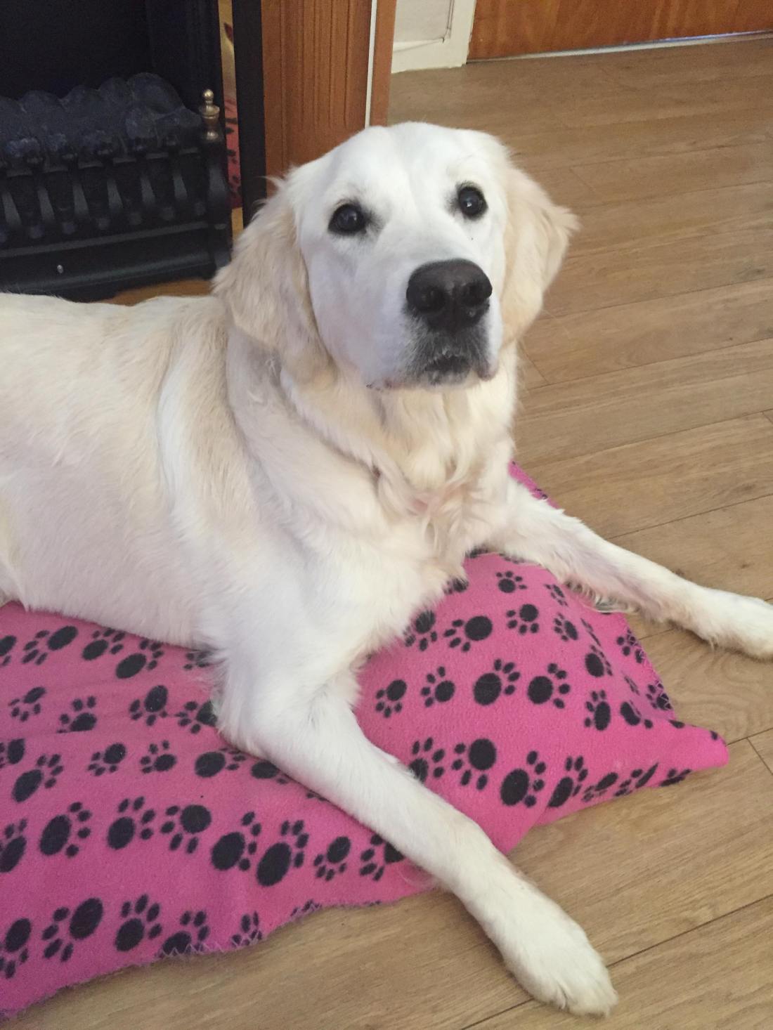 53020265_771678213210913_5247060914439454720_n