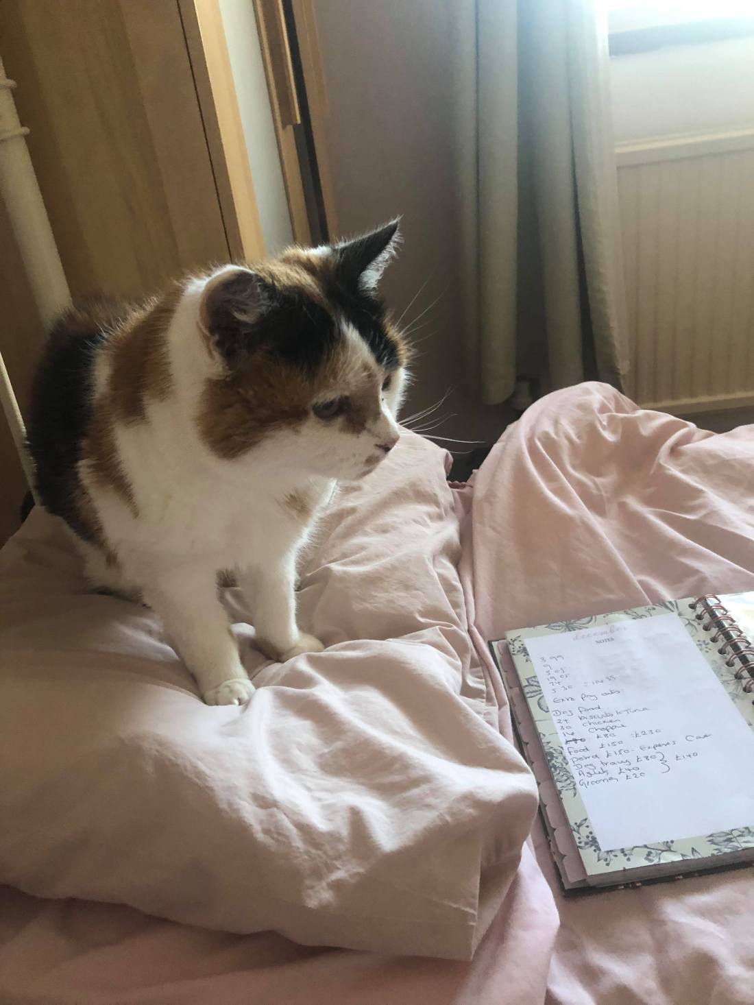 53259849_2220209368237480_3040671923118800896_n