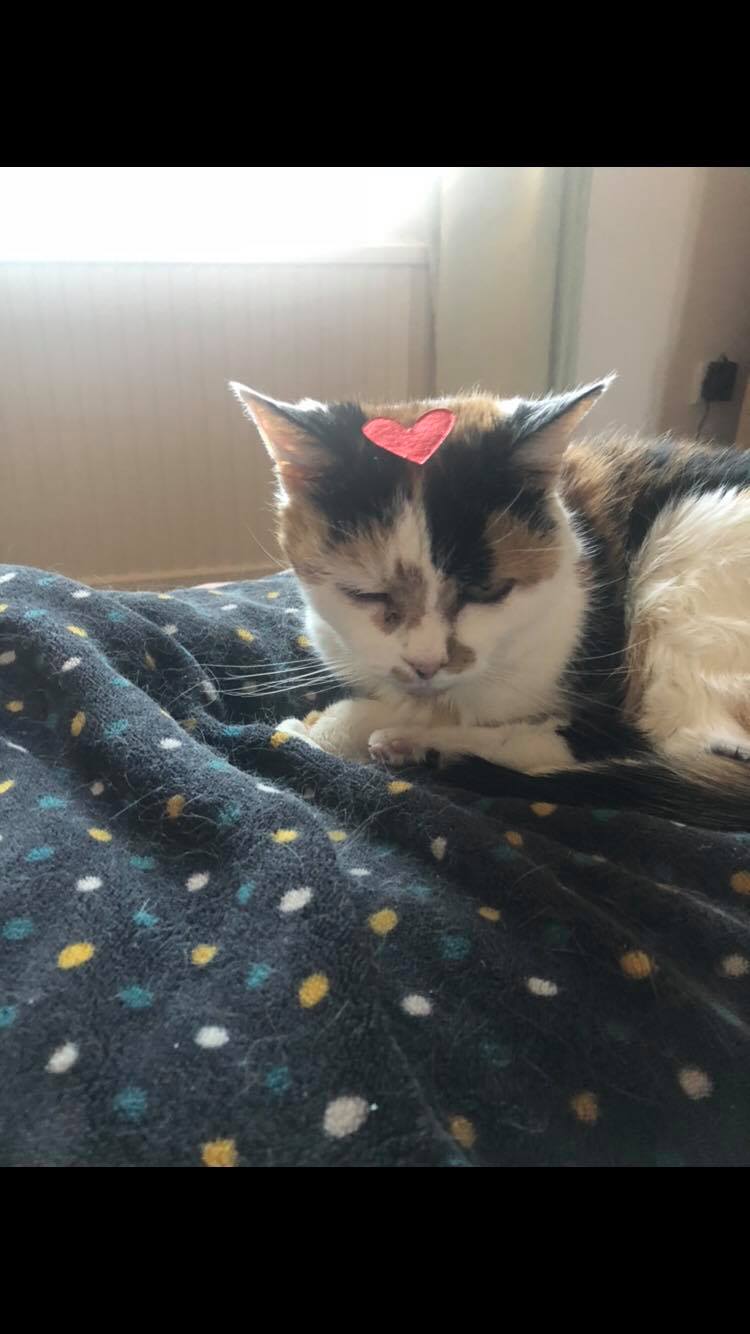 53596191_1012305458970749_4658780339122995200_n